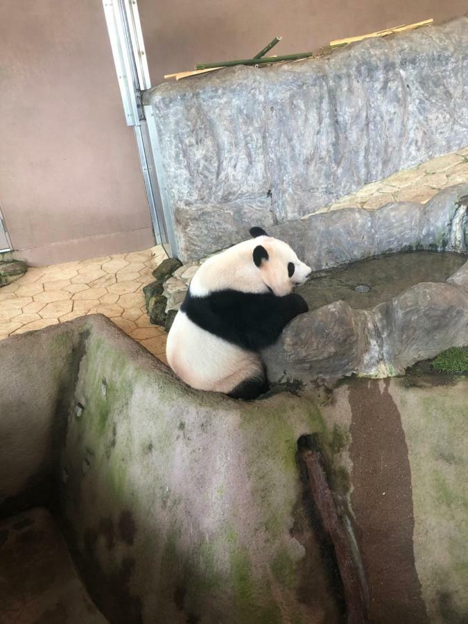 和みの宿いろり 白滨 外观 照片